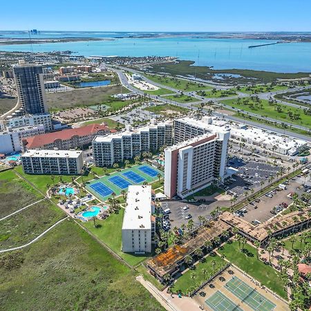 1204 Saida I - Beach Front South Padre Island Exteriér fotografie